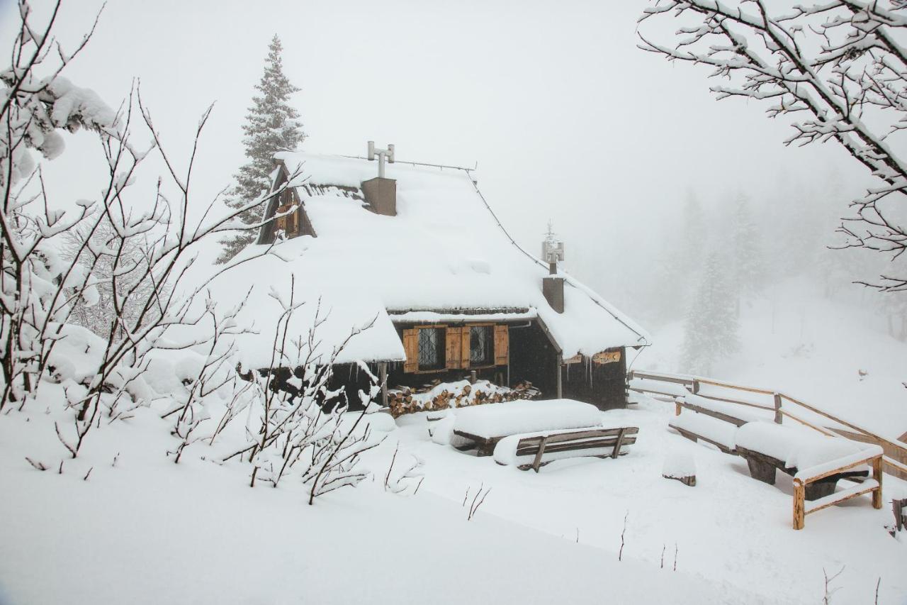 Villa Chalet Tisa Velika Planina à Stahovica Extérieur photo