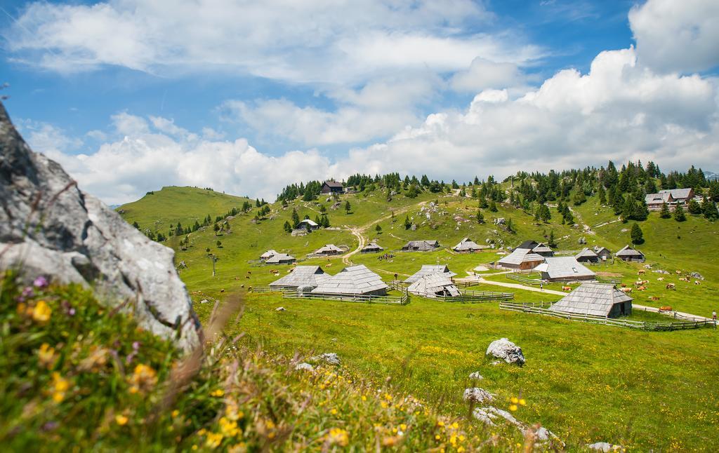 Villa Chalet Tisa Velika Planina à Stahovica Chambre photo