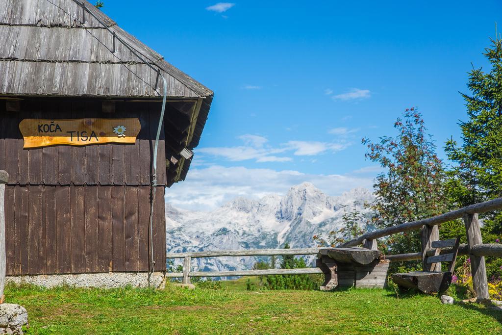 Villa Chalet Tisa Velika Planina à Stahovica Extérieur photo