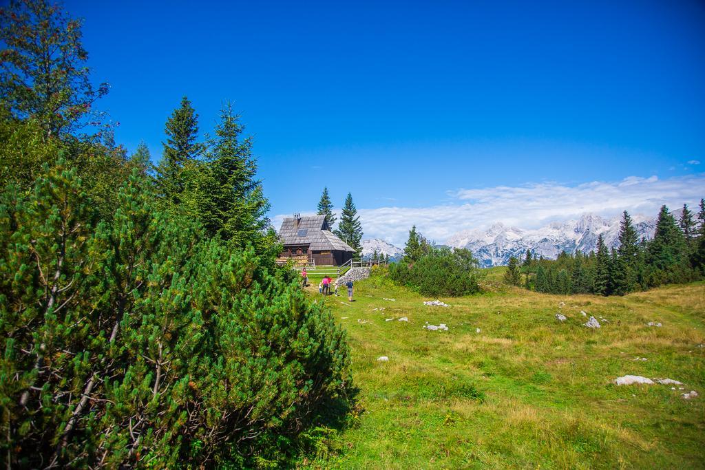 Villa Chalet Tisa Velika Planina à Stahovica Extérieur photo