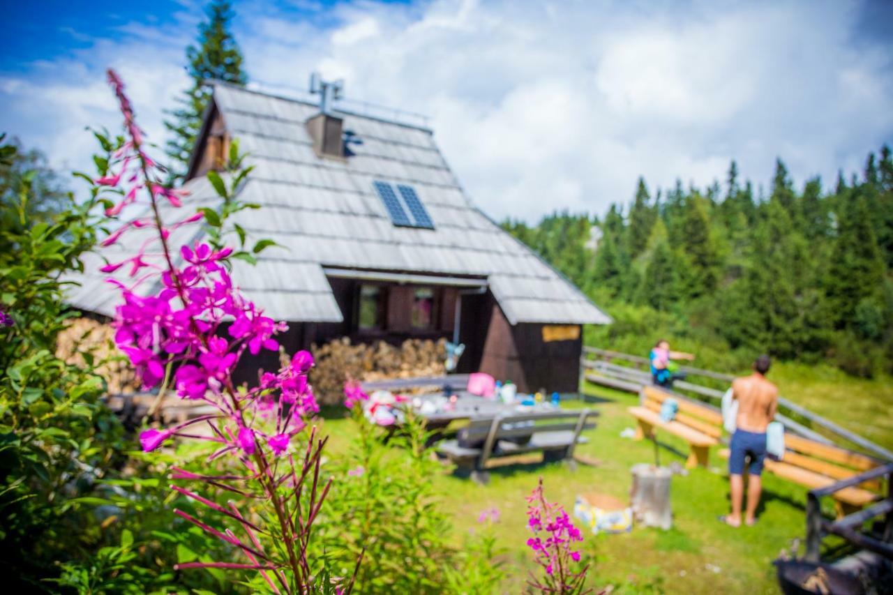 Villa Chalet Tisa Velika Planina à Stahovica Extérieur photo