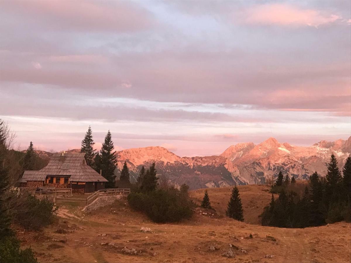 Villa Chalet Tisa Velika Planina à Stahovica Extérieur photo